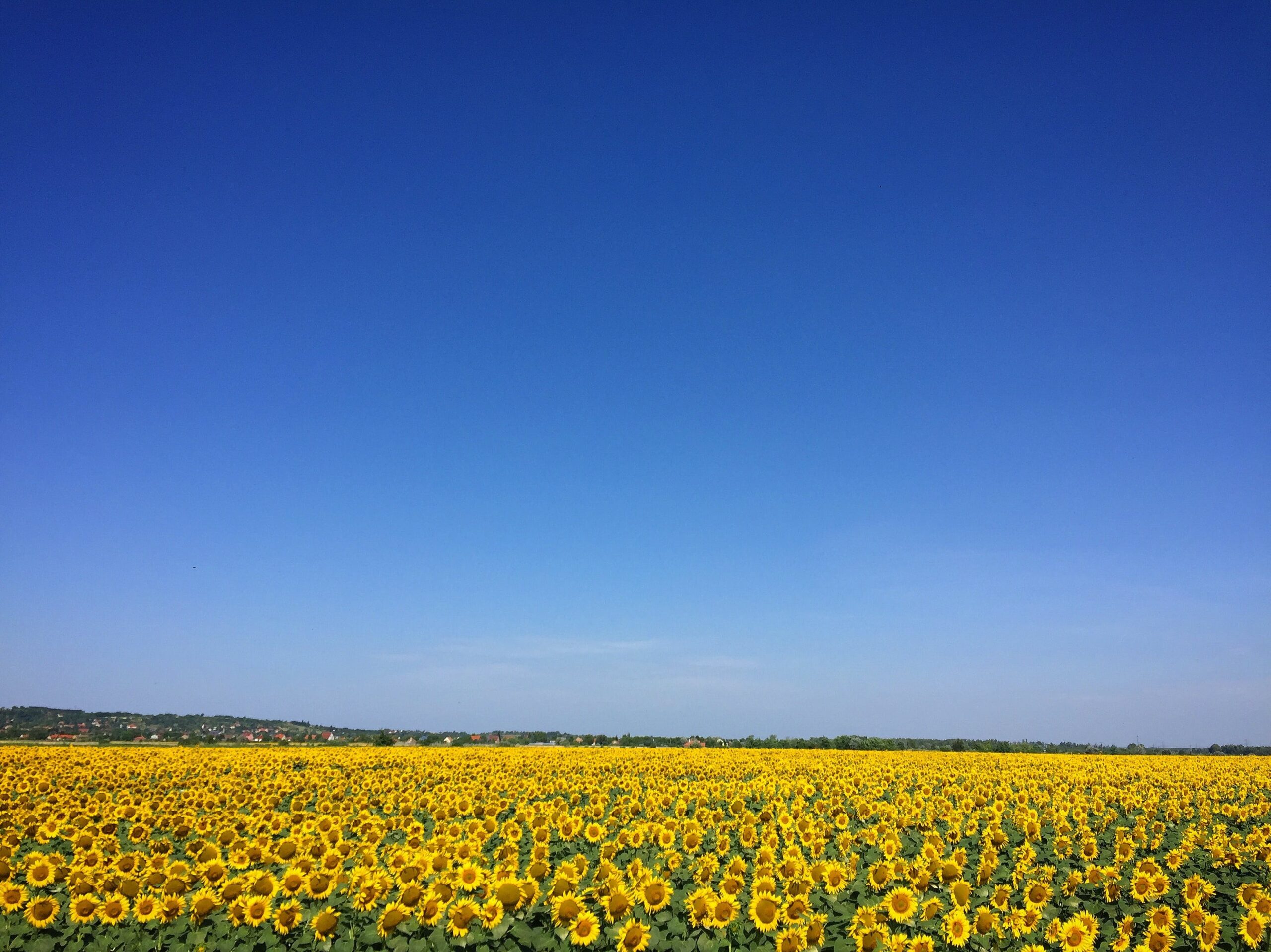 Zonnepanelen huren voor een duurzaam milieu