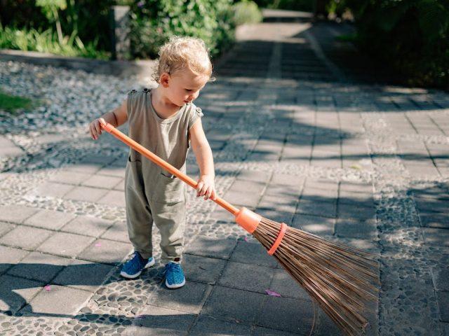 Hoe laat je een tuin ontruiming goed verlopen?