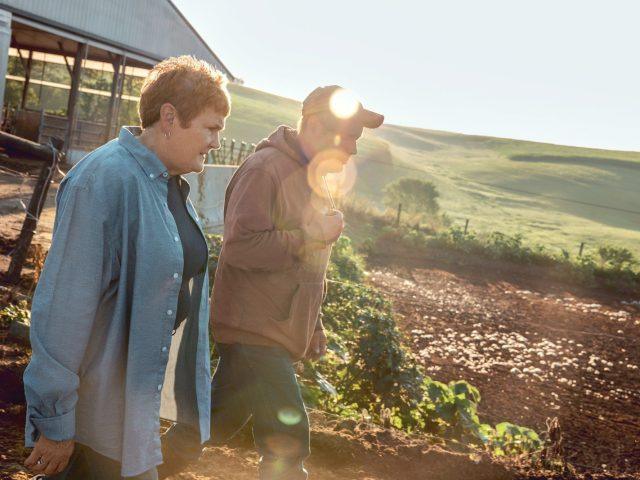 De voordelen van bloeiende planten voor in huis